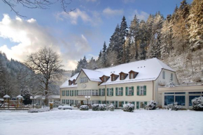Waldhotel Bad Sulzburg